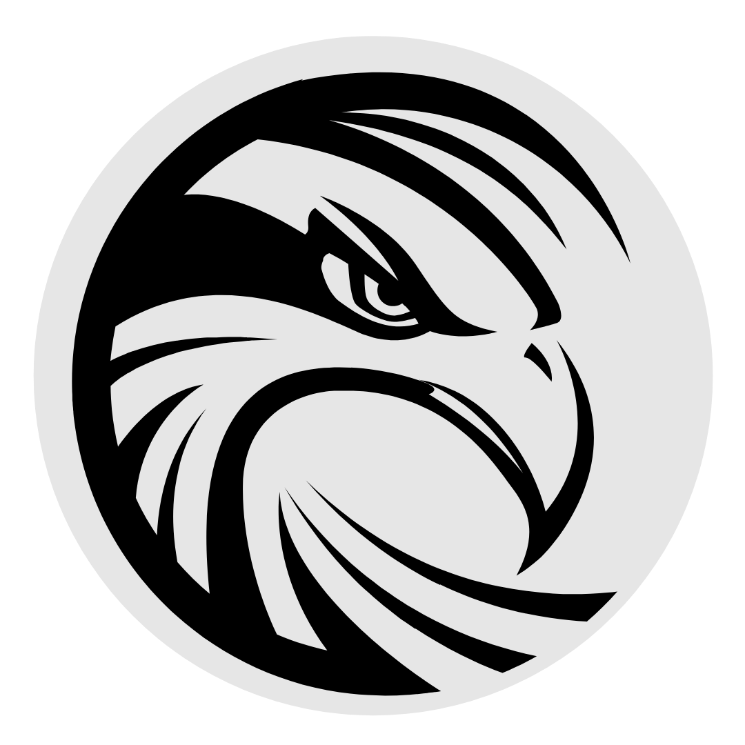 IronHawk Financial Wealth Management